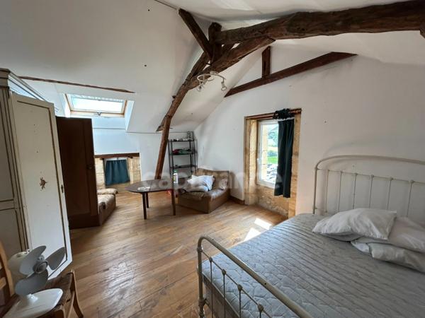 Maison à vendre 17 pièces SAINT CYPRIEN (24) environ 7446m² de terrain