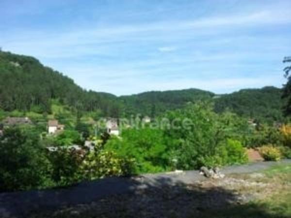 Maison à vendre 17 pièces SAINT CYPRIEN (24) environ 7446m² de terrain