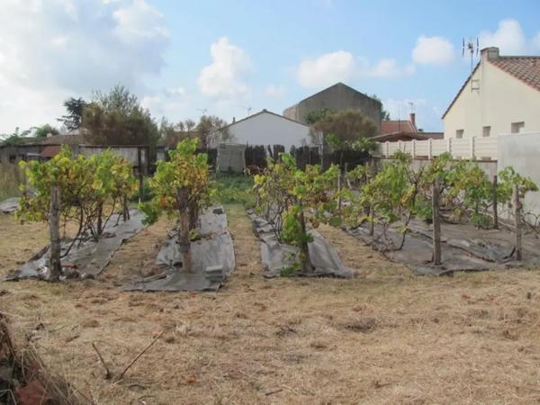 Ensemble immobilier avec deux gîtes saisonniers La Barre-d