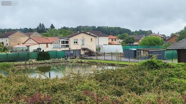 Maison individuelle à vendre à Aydoilles dans les Vosges (88600), ref : 1196/062-88038