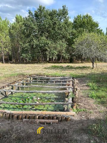ANCIEN CORPS DE FERME: propriété de 1,7 hectares, maison en pierre avec 5 dépendances Détails des diagnostics énergétiques