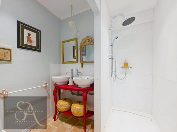 Propriete à vendre 8 pièces VILLASAVARY (11)