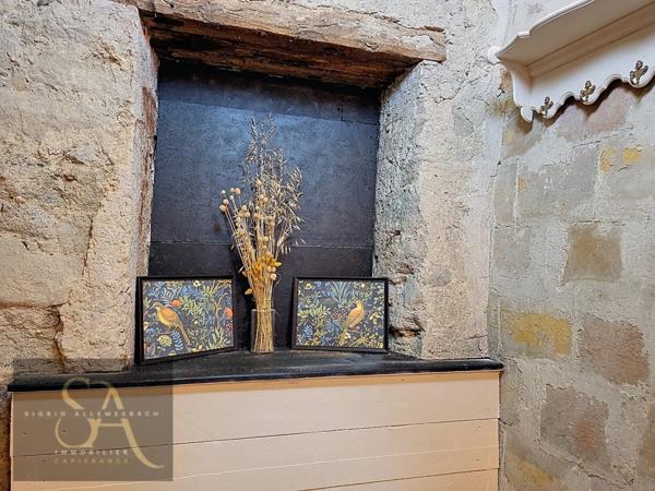 Propriete à vendre 8 pièces VILLASAVARY (11)