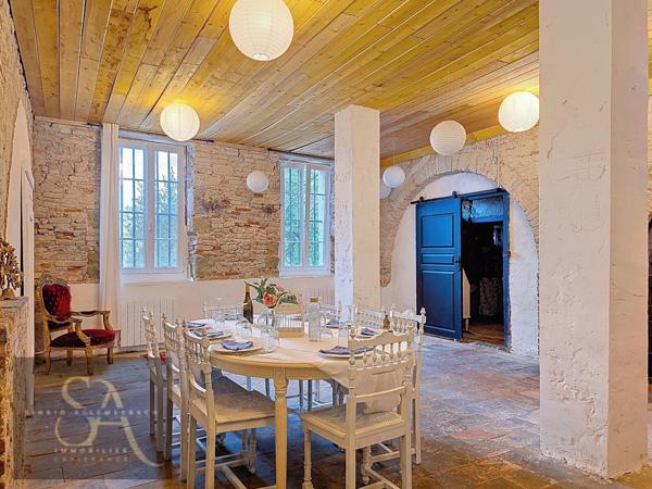 Propriete à vendre 8 pièces VILLASAVARY (11)