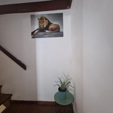 VENTE MAISON T5 +T2 Cayenne 270 000€ FAI