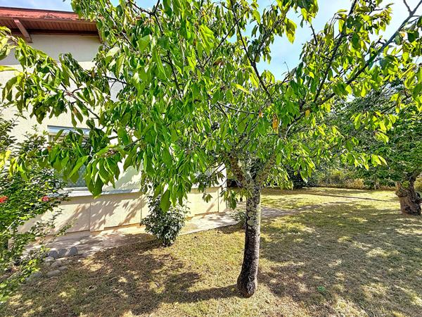 EXCLUSIVITÉ À SAINT-JEAN-DU-FALGA : MAISON T5 À FORT POTENTIEL AVEC JARDIN INTIMISTE !