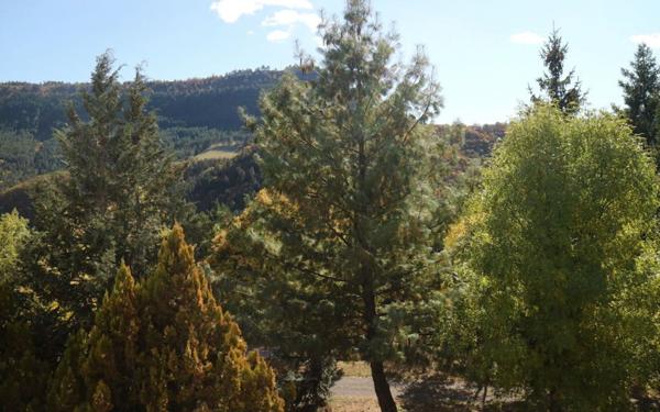 Maison à louer    7 pièces • 188 m2 Badaroux