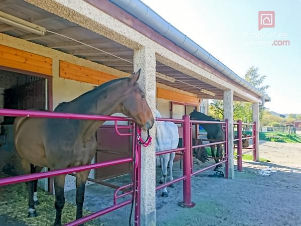 57000 METZ (à 59km du centre) à 55300 VARNEVILLE/Propriété équestre/Maison 237m2/+21ha/30boxes/750000HAI