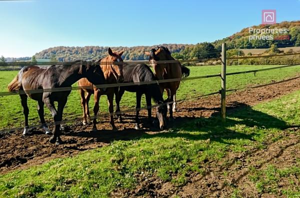 57000 METZ (à 59km du centre) à 55300 VARNEVILLE/Propriété équestre/Maison 237m2/+21ha/30boxes/750000HAI