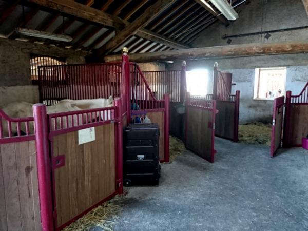 57000 METZ (à 59km du centre) à 55300 VARNEVILLE/Propriété équestre/Maison 237m2/+21ha/30boxes/750000HAI