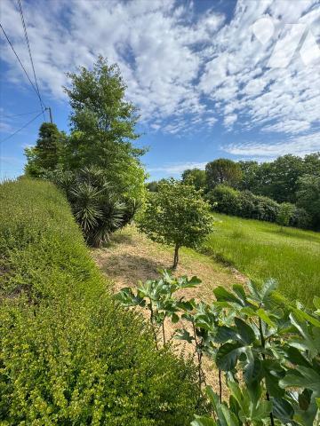 En campagne, ancien corps de ferme avec grand terrain