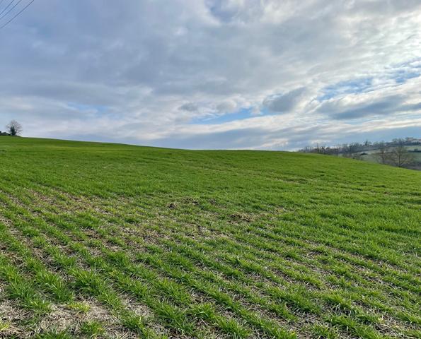 Terrain L Isle Jourdain 732 m²