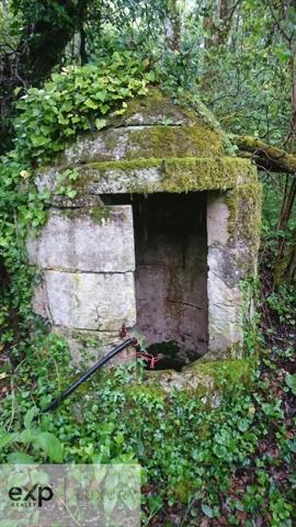 Tranquillité et espace – Propriété moderne avec terrain boisé