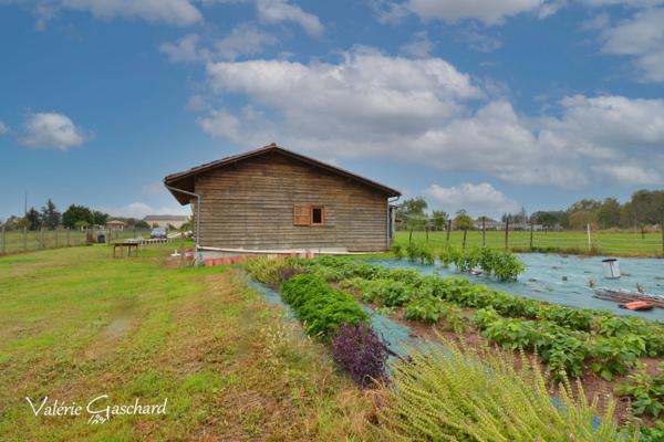 St Méard de Gurson, maison  2 chambres + 2500 m² terrain
