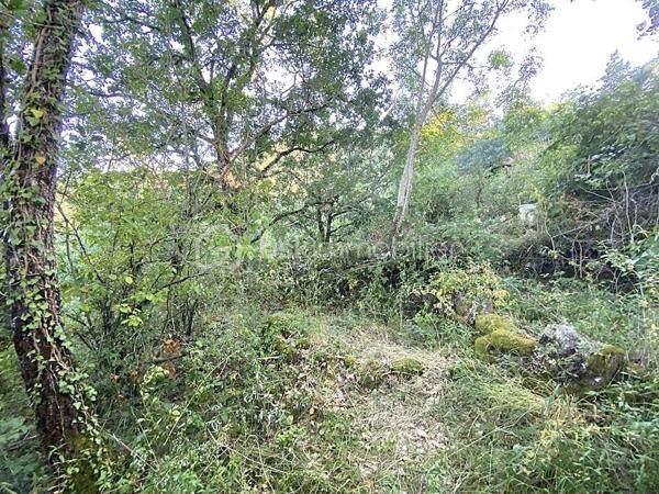 Un bien rare sur le secteur, idéal pour une résidence secondaire, un pied-à-terre ou un projet de vie alternatif au cœur de la nature.
À seulement quelques minutes de Saint-Rome-de-Tarn et à 2 minutes de sa base de loisirs, découvrez cette ancienne petite grange en pierre implantée sur deux parcelles totalisant 321 m², au cœur du hameau du Mazéga.

D'une surface au sol d'environ 36 m² (19 m² de pièce principale et 17 m² de cave en sous-sol), ce bien atypique séduira les amoureux de nature, d'autonomie et de lieux authentiques.

Actuellement hors réseaux (eau et électricité), la propriété fonctionne de manière autonome grâce à ses équipements existants. Une étude de raccordement au réseau EDF a été réalisée et la mise en place d'un assainissement individuel est envisageable selon le projet des futurs acquéreurs.

Vous apprécierez :

✨ son environnement calme et préservé
✨ sa hauteur sous faîtage d'environ 3,40 m
✨ ses panneaux solaires avec batteries lithium 2 x 150 W
✨ sa cuve de récupération d'eau de pluie de 1 600 litres avec pompe de relevage
✨ son espace en sous-sol offrant un potentiel d'usage complémentaire
✨ son terrain de 321 m²
✨ sa proximité immédiate avec les plages et activités du Tarn
✨ une toiture et un plancher en très bon état, permettant d'envisager sereinement la poursuite du projet de réhabilitation ou d'autonomie

Informations complémentaires :

📍 Le Mazéga – 12490 Saint-Rome-de-Tarn
💰 Prix : 37 000 € FAI
📐 Surface au sol : environ 36 m²
🌿 Terrain : 321 m²
⚡💧 Fonctionnement autonome hors réseaux
🏡 Bâtisse en pierre antérieure à 1949
🏠 Mitoyenneté limitée aux caves
🚗 Stationnement à proximité immédiate
🚶 Derniers mètres accessibles uniquement à pied
📄 Zone AP et N (zone Agricole Protégée et Naturelle)
⚡ Raccordement EDF envisageable (étude réalisée)
💧 Assainissement individuel envisageable sous réserve des autorisations administratives
✅ Absence d'amiante
✅ Absence de termites lors du diagnostic

⚠️ Bien non adapté aux personnes à mobilité réduite.

🎥 Vidéo disponible sur demande.
📞 Pour plus d'informations ou organiser une visite
Laetitia Criado – BSK Immobilier