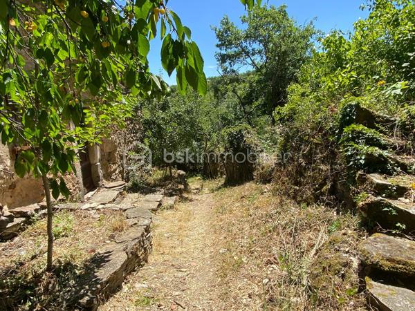 Un bien rare sur le secteur, idéal pour une résidence secondaire, un pied-à-terre ou un projet de vie alternatif au cœur de la nature.
À seulement quelques minutes de Saint-Rome-de-Tarn et à 2 minutes de sa base de loisirs, découvrez cette ancienne petite grange en pierre implantée sur deux parcelles totalisant 321 m², au cœur du hameau du Mazéga.

D'une surface au sol d'environ 36 m² (19 m² de pièce principale et 17 m² de cave en sous-sol), ce bien atypique séduira les amoureux de nature, d'autonomie et de lieux authentiques.

Actuellement hors réseaux (eau et électricité), la propriété fonctionne de manière autonome grâce à ses équipements existants. Une étude de raccordement au réseau EDF a été réalisée et la mise en place d'un assainissement individuel est envisageable selon le projet des futurs acquéreurs.

Vous apprécierez :

✨ son environnement calme et préservé
✨ sa hauteur sous faîtage d'environ 3,40 m
✨ ses panneaux solaires avec batteries lithium 2 x 150 W
✨ sa cuve de récupération d'eau de pluie de 1 600 litres avec pompe de relevage
✨ son espace en sous-sol offrant un potentiel d'usage complémentaire
✨ son terrain de 321 m²
✨ sa proximité immédiate avec les plages et activités du Tarn
✨ une toiture et un plancher en très bon état, permettant d'envisager sereinement la poursuite du projet de réhabilitation ou d'autonomie

Informations complémentaires :

📍 Le Mazéga – 12490 Saint-Rome-de-Tarn
💰 Prix : 37 000 € FAI
📐 Surface au sol : environ 36 m²
🌿 Terrain : 321 m²
⚡💧 Fonctionnement autonome hors réseaux
🏡 Bâtisse en pierre antérieure à 1949
🏠 Mitoyenneté limitée aux caves
🚗 Stationnement à proximité immédiate
🚶 Derniers mètres accessibles uniquement à pied
📄 Zone AP et N (zone Agricole Protégée et Naturelle)
⚡ Raccordement EDF envisageable (étude réalisée)
💧 Assainissement individuel envisageable sous réserve des autorisations administratives
✅ Absence d'amiante
✅ Absence de termites lors du diagnostic

⚠️ Bien non adapté aux personnes à mobilité réduite.

🎥 Vidéo disponible sur demande.
📞 Pour plus d'informations ou organiser une visite
Laetitia Criado – BSK Immobilier