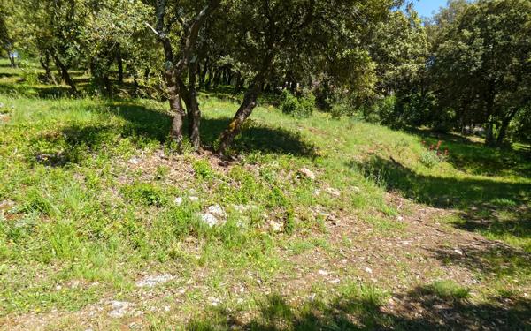 Terrain à vendre