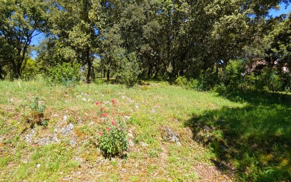 Terrain à vendre