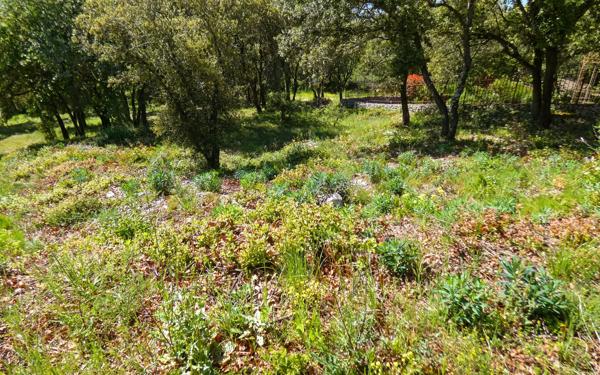Terrain à vendre