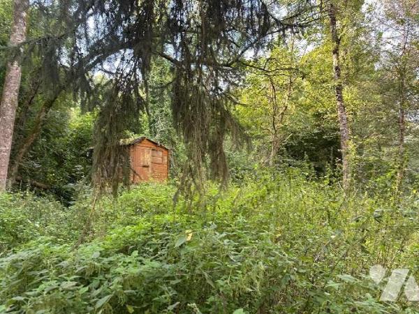 VERNOU SUR BRENNE,Superbe Coup de peche, Terrain de loisirs - Un terrain de loisirs non raccord...