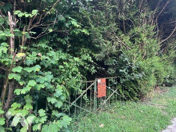 VERNOU SUR BRENNE,Superbe Coup de peche, Terrain de loisirs - Un terrain de loisirs non raccord...