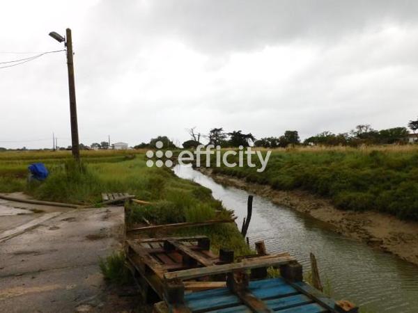 Local Commercial - 70 m² Exclusivité efficity