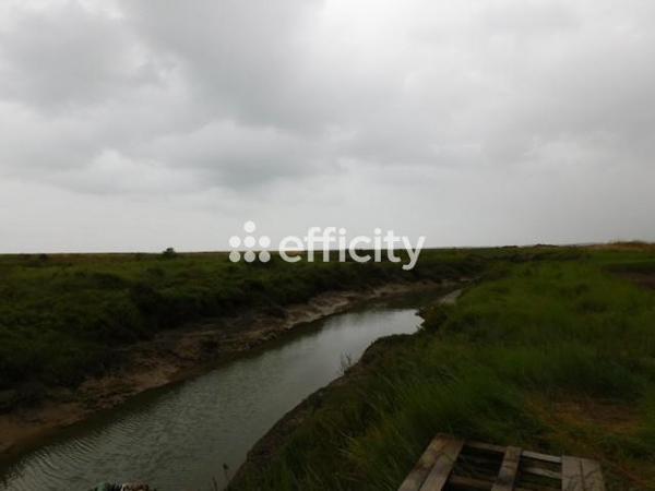 Local Commercial - 70 m² Exclusivité efficity