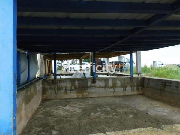 Local Commercial - 70 m² Exclusivité efficity