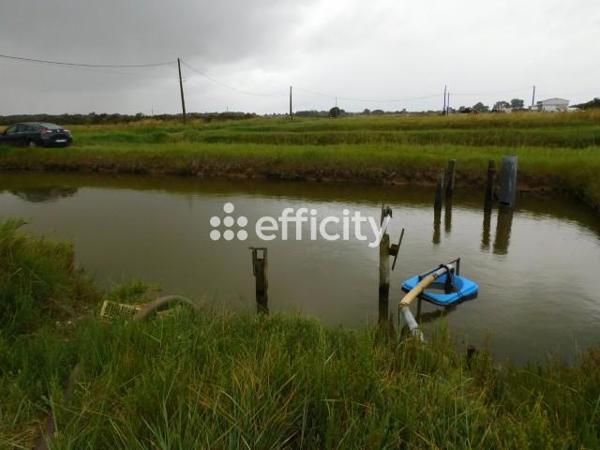 Local Commercial - 70 m² Exclusivité efficity