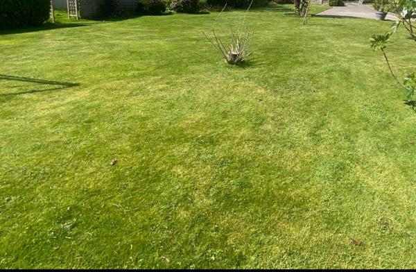 Terrain à vendre |  Guipavas |  800 m²