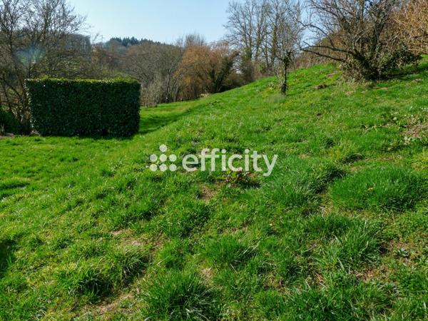 Immeuble 7 pièces - 162 m²