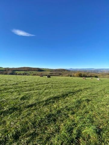 Emplacement d'exception:   Exceptionnel  400 M² habitables pour 56000 M² de terrain