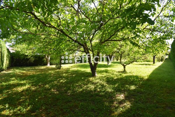 Terrain
        
        - 700 m² Exclusivité 49 000 € *