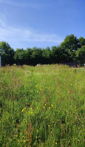 A découvrir, beau terrain constructible de 2 223 m2, entièrement viabilisé, situé dans un environnement calme tout en bénéficiant  de la proximité des commerces, écoles et des services.

° Réseaux en bordure
° Assainissement individuel à prévoir
° Environnement calme et résidentiel

Une belle opportunité à saisir pour donner vie à votre futur maison !

Contactez moi pour plus d'informations pour pour organiser une visite.