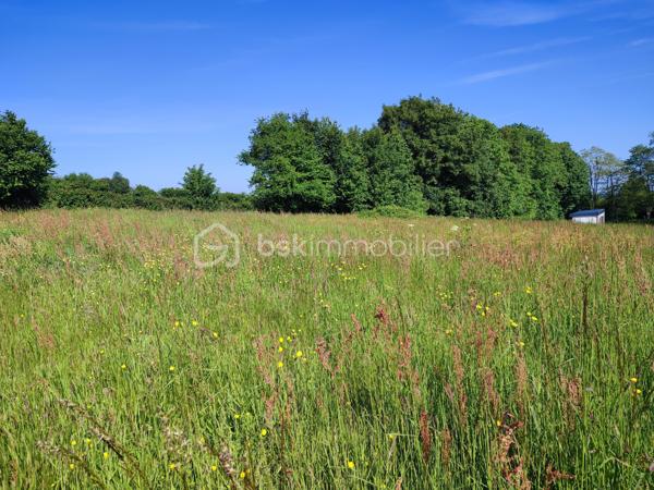 A découvrir, beau terrain constructible de 2 223 m2, entièrement viabilisé, situé dans un environnement calme tout en bénéficiant  de la proximité des commerces, écoles et des services.

° Réseaux en bordure
° Assainissement individuel à prévoir
° Environnement calme et résidentiel

Une belle opportunité à saisir pour donner vie à votre futur maison !

Contactez moi pour plus d'informations pour pour organiser une visite.