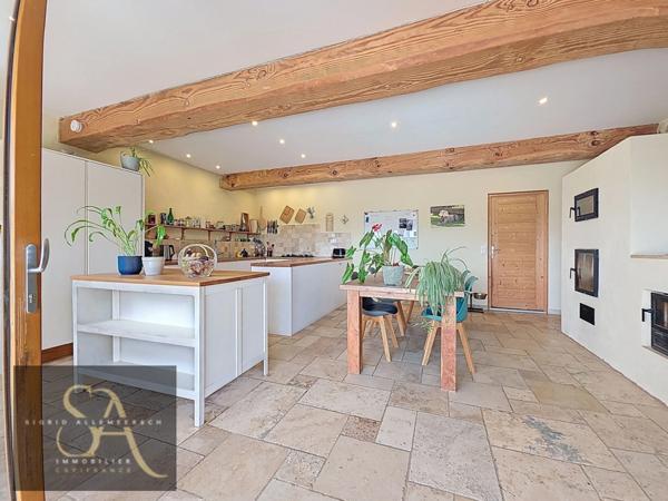 Domaine à vendre (Aude) – vue sur les Pyrénées – autonomie rare