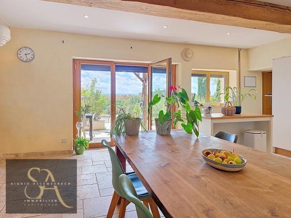 Domaine à vendre (Aude) – vue sur les Pyrénées – autonomie rare