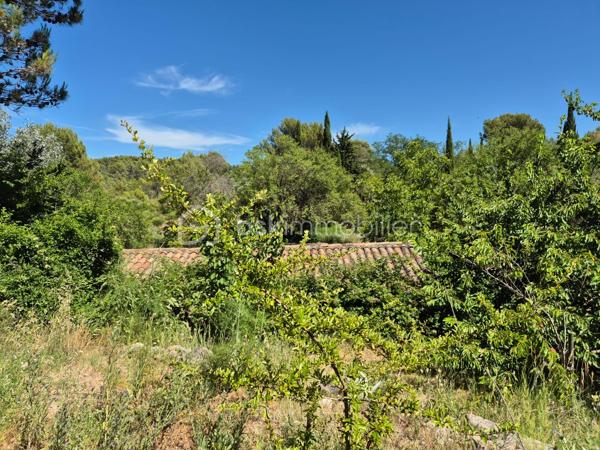 Un refuge bucolique au cœur de 10 hectares de nature préservée

Et si le luxe ultime était le silence ?

À quelques minutes seulement de L'Isle-sur-la-Sorgue, se cache une propriété que l'on découvre au détour d'un chemin, comme un secret bien gardé. Entouré de 10 hectares de forêts et d'espaces naturels, entre Velleron et les collines de Saint-Antoine, ce mas en pierre datant de 1870 offre un cadre de vie d'une rare authenticité.

Ici, les journées s'écoulent au rythme des saisons. Les sentiers forestiers invitent aux balades à pied ou à vélo, les cigales accompagnent les longues soirées d'été et la nature s'impose comme seul horizon.

Développant 170 m² habitables pour 195 m² de surface totale au sol, ce mas de caractère conjugue le charme de l'ancien et la douceur de vivre provençale. Actuellement composé de deux habitations indépendantes — maison principale et gîte — il peut aisément retrouver sa vocation de grande demeure familiale.

La propriété bénéficie d'environ 2 500 m² de terrain en jouissance privative au sein d'une copropriété confidentielle de 10 hectares. Un privilège rare pour profiter d'un environnement exceptionnel sans renoncer à la proximité des commerces et des commodités.

Ses prestations complètent harmonieusement l'ensemble :
- 5 chambres et 2 salles d'eau et 1 salle de bains
- Deux salons offrant de multiples possibilités de vie et de réception, permettant à chacun de profiter de son espace tout en préservant la convivialité des lieux
-Piscine et vastes espaces de détente extérieurs
- Deux grands espaces de stationnement couverts, à l'abri des regards, permettant d'accueillir plusieurs véhicules tout en préservant l'esthétique et la quiétude des lieux
- Grande cave de 60m²environ pouvant accueillir un atelier d'artiste, un espace créatif ou un atelier de bricolage
- Forage et canal
- Chauffage au gaz, poêle à bois et climatisation réversible

Plus qu'une maison, cette propriété est une parenthèse bucolique. Un lieu où l'on vient chercher l'espace, la lumière, la nature et cette sensation devenue si rare de vivre ailleurs... tout en restant à quelques minutes de l'une des plus belles adresses du Luberon et du Pays des Sorgues.

Et parce que le véritable luxe réside aussi dans la liberté de profiter des lieux sans les contraintes de leur entretien, les charges de copropriété comprennent notamment l'entretien de la piscine et de ses abords, le soin apporté aux espaces verts et au parc desservant les huit lots de la copropriété, ainsi que la maintenance de la station de phyto épuration. Un privilège qui permet de savourer pleinement la beauté de cet environnement exceptionnel, en toute sérénité.

Un bien aussi rare mérite d'être découvert sur place. 
Les lieux d'exception ne se racontent jamais aussi bien qu'ils ne se vivent. Je serai heureuse de vous accompagner dans la découverte de cette propriété et reste à votre disposition pour organiser une visite privée.

Professionnels de l'immobilier, et apporteurs d'affaires, collaborons ensemble : le réseau BSK Immobilier valorise et rémunère les mises en relation conduisant à une transaction aboutie.
N'hésitez pas à me contacter pour en connaître les modalités.