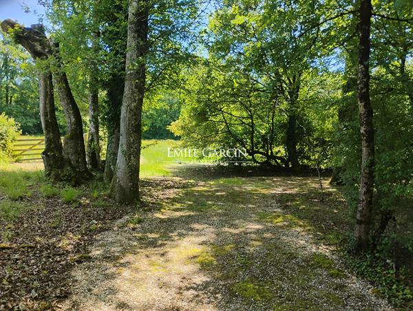 A VENDRE- Saint Sauveur en Puisaye - Bourgogne - 89-  Hameau 6 longères 17 ch-Idéal projet touristique- Hameau-18 ch avec piscine et spa sur parc de 7ha.