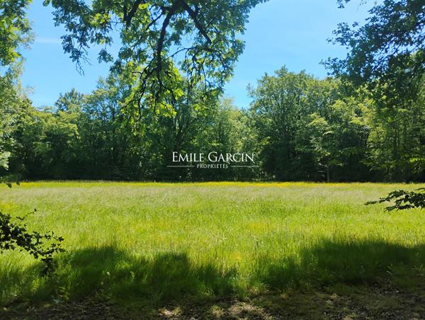 A VENDRE- Saint Sauveur en Puisaye - Bourgogne - 89-  Hameau 6 longères 17 ch-Idéal projet touristique- Hameau-18 ch avec piscine et spa sur parc de 7ha.