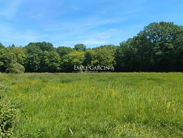 A VENDRE- Saint Sauveur en Puisaye - Bourgogne - 89-  Hameau 6 longères 17 ch-Idéal projet touristique- Hameau-18 ch avec piscine et spa sur parc de 7ha.