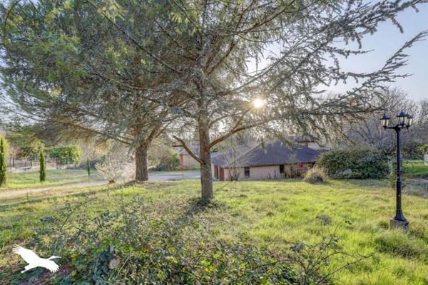 Maison à vendre 540 000 € Saint-Jean 6 p 171 m² DPE D