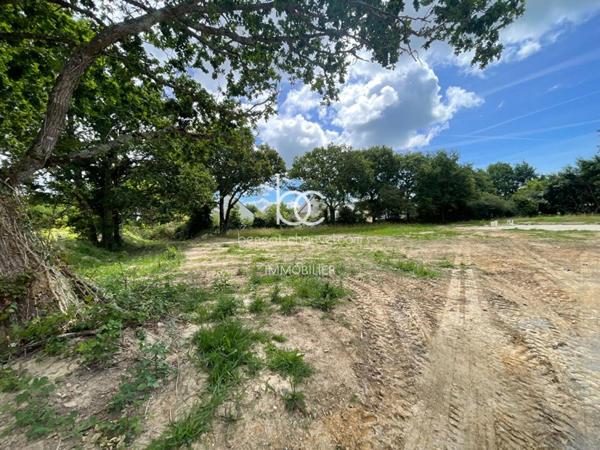SARZEAU Terrain 533 m²