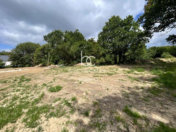 SARZEAU Terrain 533 m²