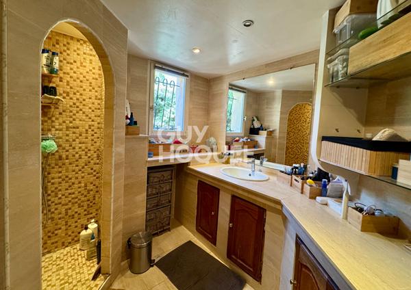Maison Isle Sur La Sorgue 5 pièce(s) 175m2