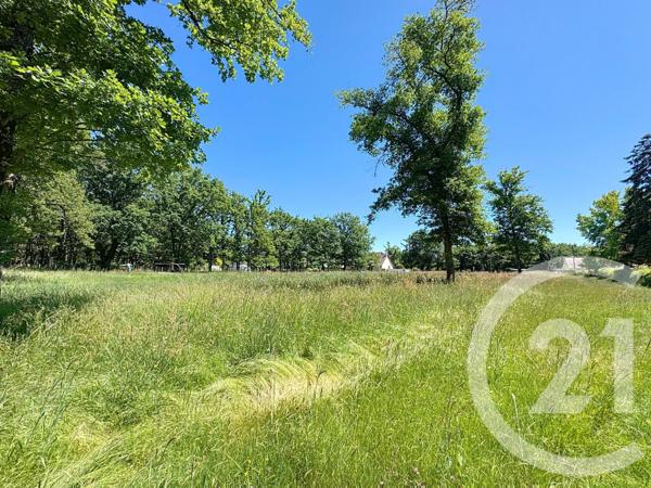 Terrain à vendre  11762 m2 VILLEFRANCHE SUR CHER - 41