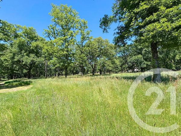 Terrain à vendre  11762 m2 VILLEFRANCHE SUR CHER - 41