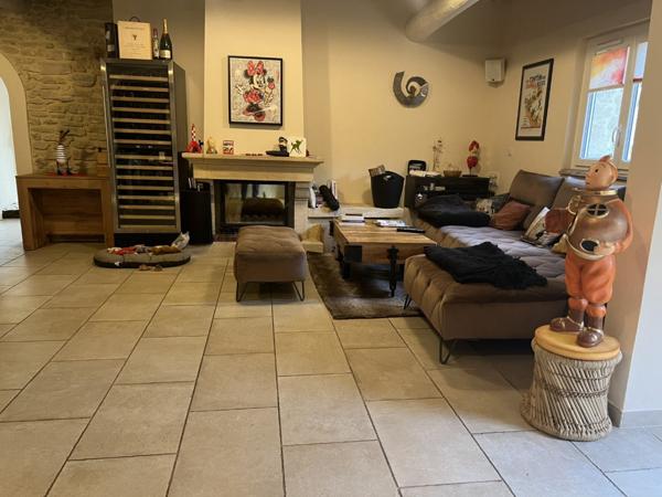 ISLE SUR LA SORGUE - ENSEMBLE IMMOBILIER - 372 M2 - PARC - - -6600M2 - PISCINE - 1 460 000