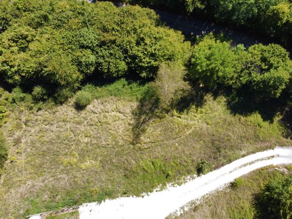 Terrain - 1236 m² Exclusivité efficity