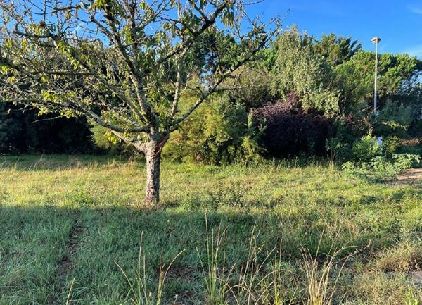 Terrain à vendre    300 m2 Dolus-d'Oléron